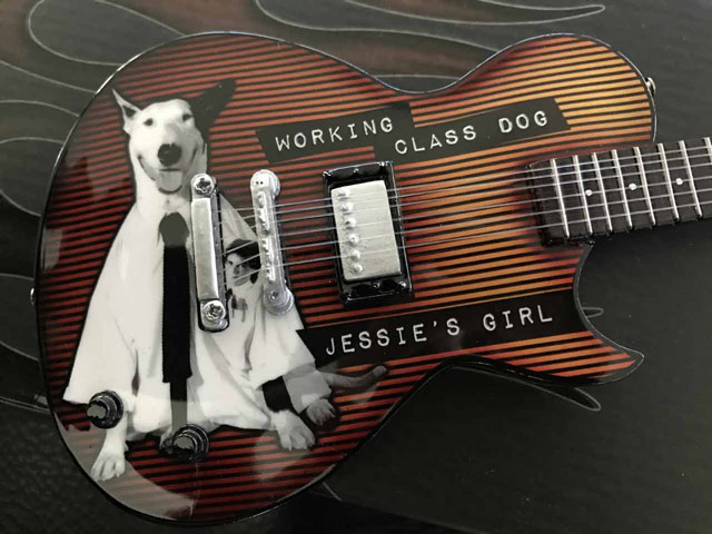 Rick Springfield / Jessie’s Girl Mini Guitar by AXE HEAVEN®